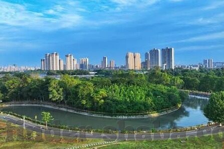 xl足球比分直播-XL足球比分直播，球迷的实时战场与数据盛宴